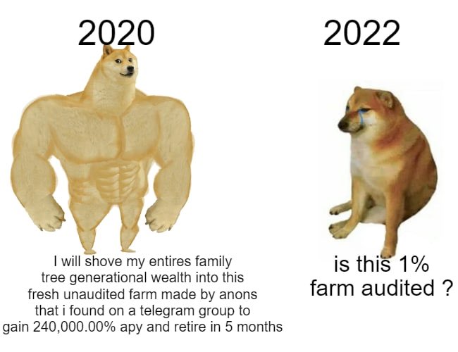 cryptoskullx's tweet photo. This is the reason we printed 3000-4000x's on memes 2020/21

Chads chadding in. Except those who faded em completely and is forever salty but they became meme maxis now this bull, it's actually hilarious. https://t.co/ZrNz8BMVL9