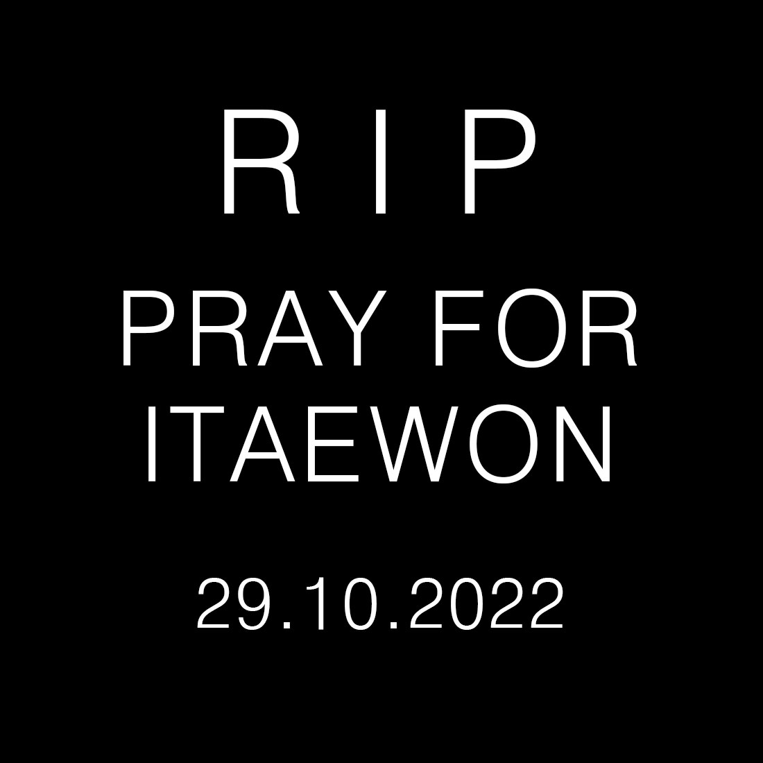 12 Animals Travel Log tweet media