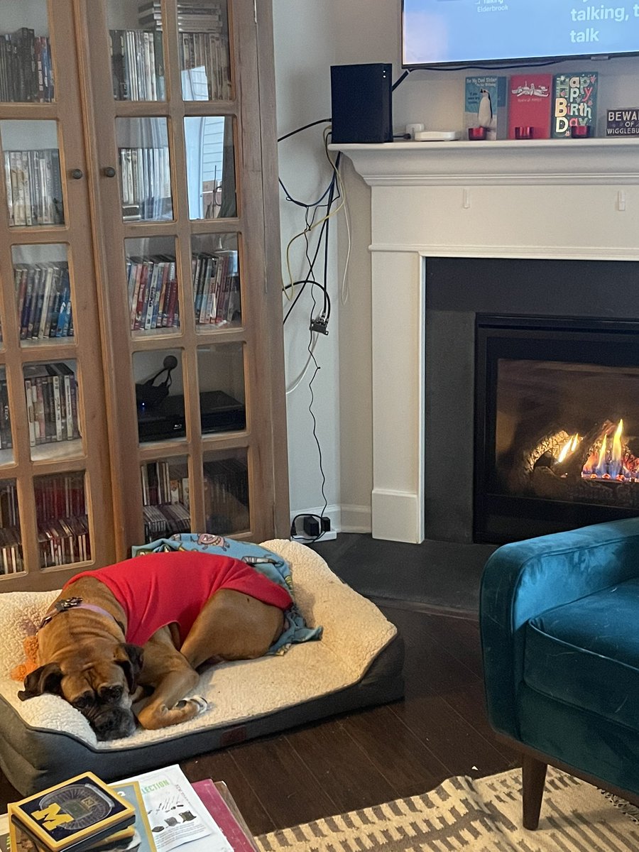 Never mind Lady. It’s cold and rainy out there. I’m fine here next to the fireplace and in my fleece. #toastybuns #queenaahana #ladyinred #dogsoftwitter #boxerdogs #boxerdog