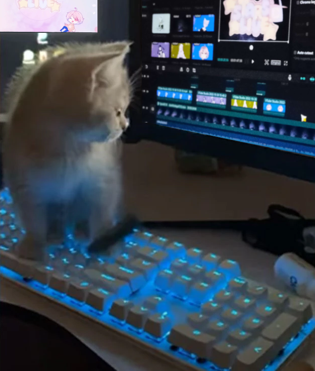 Starslive_X's tweet photo. Just working. https://t.co/YcEZE04Z9G