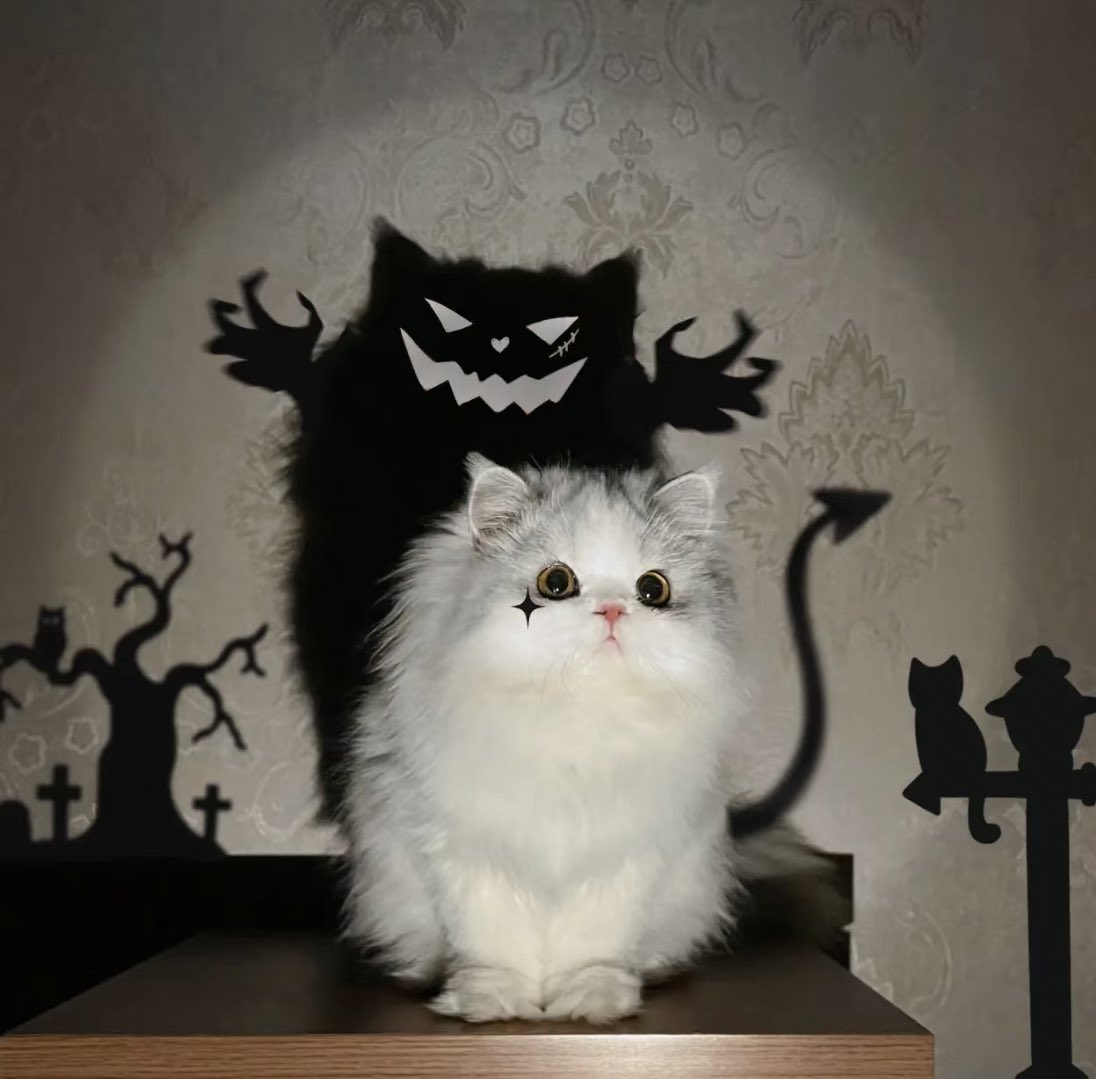 kimi 𐚁 ྀིྀིྀིྀིྀི (@piinkimi_) on Twitter photo 