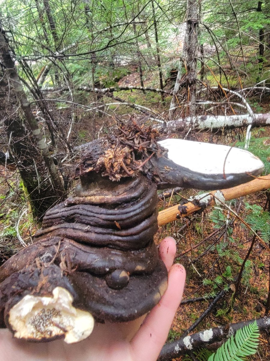 Yasha Duggal, PhD tweet media