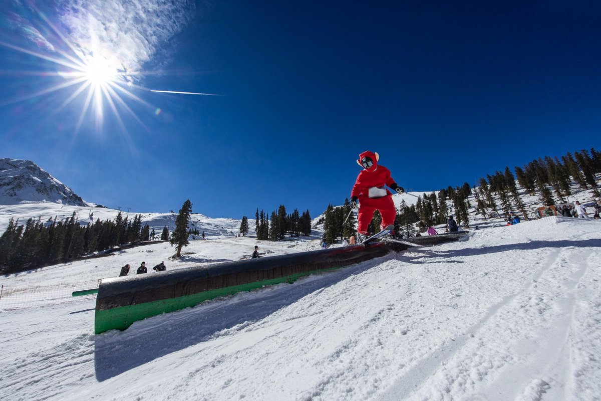 Arapahoe_Basin's tweet photo. Today's #Halloween party brought lots of shredders throwing down in the Tricks For Treats rail jam, candy galore, bluebird skies, and tons of great costumes. Today was another Halloween for the books at The Legend. Thanks to everyone for coming out!
#ABasin #LegendaryForAReason https://t.co/kjPdv1JhuQ