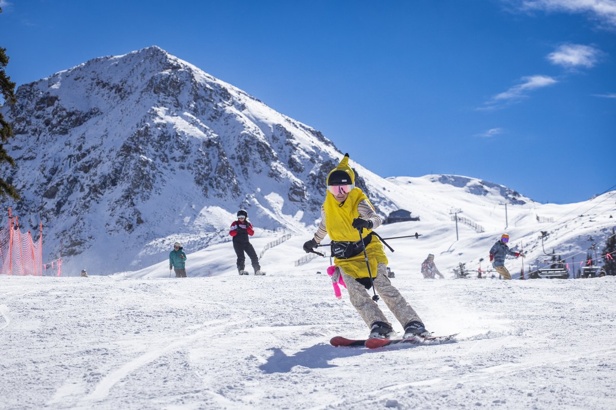 Arapahoe_Basin's tweet photo. Today's #Halloween party brought lots of shredders throwing down in the Tricks For Treats rail jam, candy galore, bluebird skies, and tons of great costumes. Today was another Halloween for the books at The Legend. Thanks to everyone for coming out!
#ABasin #LegendaryForAReason https://t.co/kjPdv1JhuQ