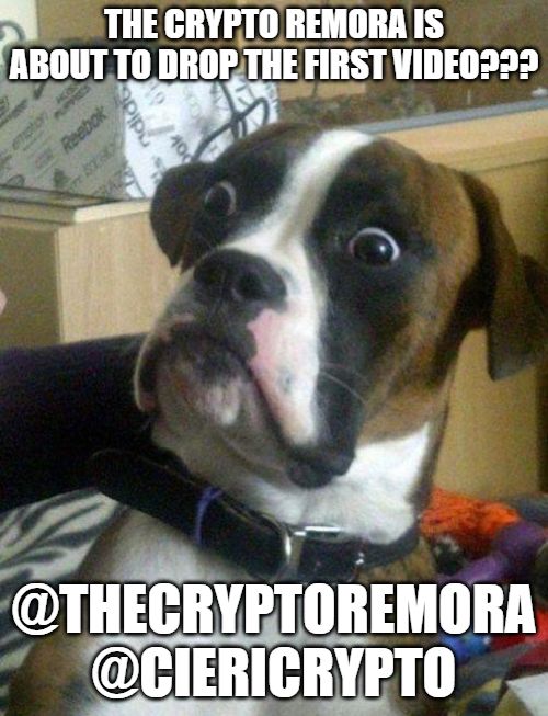 CieriCrypto2's tweet photo. Coming very soon.....@TheCryptoRemora https://t.co/86eu4MVADB