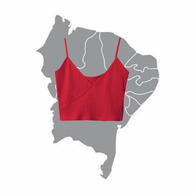 Nordeste já colocou o cropped 💃🇧🇷