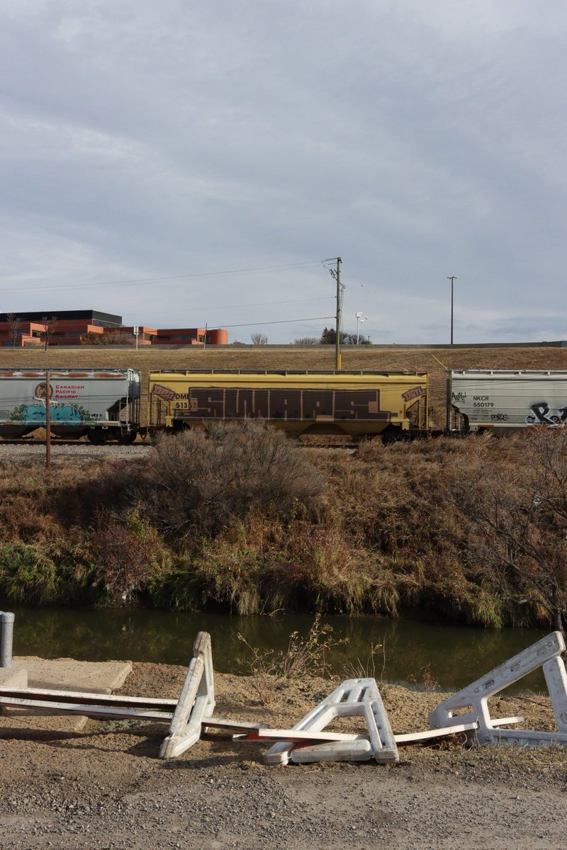 This nicely painted train car from today. HUGE just think for a minute... how?! Never noticed one this big before, good work... #swaps ... whoever you are.