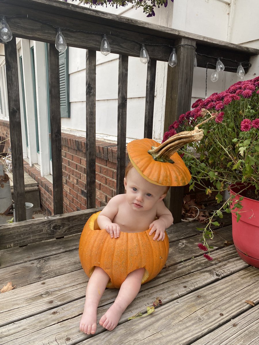 tbam123's tweet photo. On hallows Eve no need to fear the pumpkin princess is here. https://t.co/ChQzuCsblX