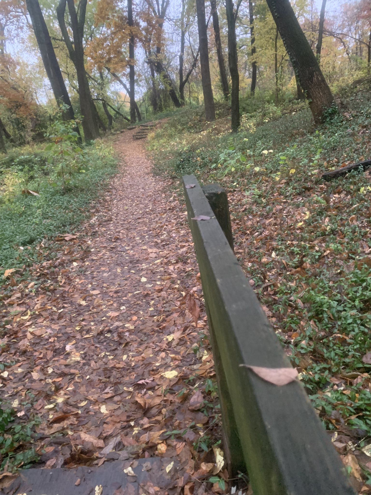 Jagger Rambo on Twitter: "🍂 https://t.co/VhvtqeYChV" / Twitter