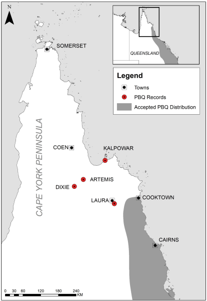Tireless field work by Pat Webster finds Painted Button-quail are actually distributed throughout southern and central Cape York.... at least! See article here - 
birdlife.org.au/afo/index.php/…