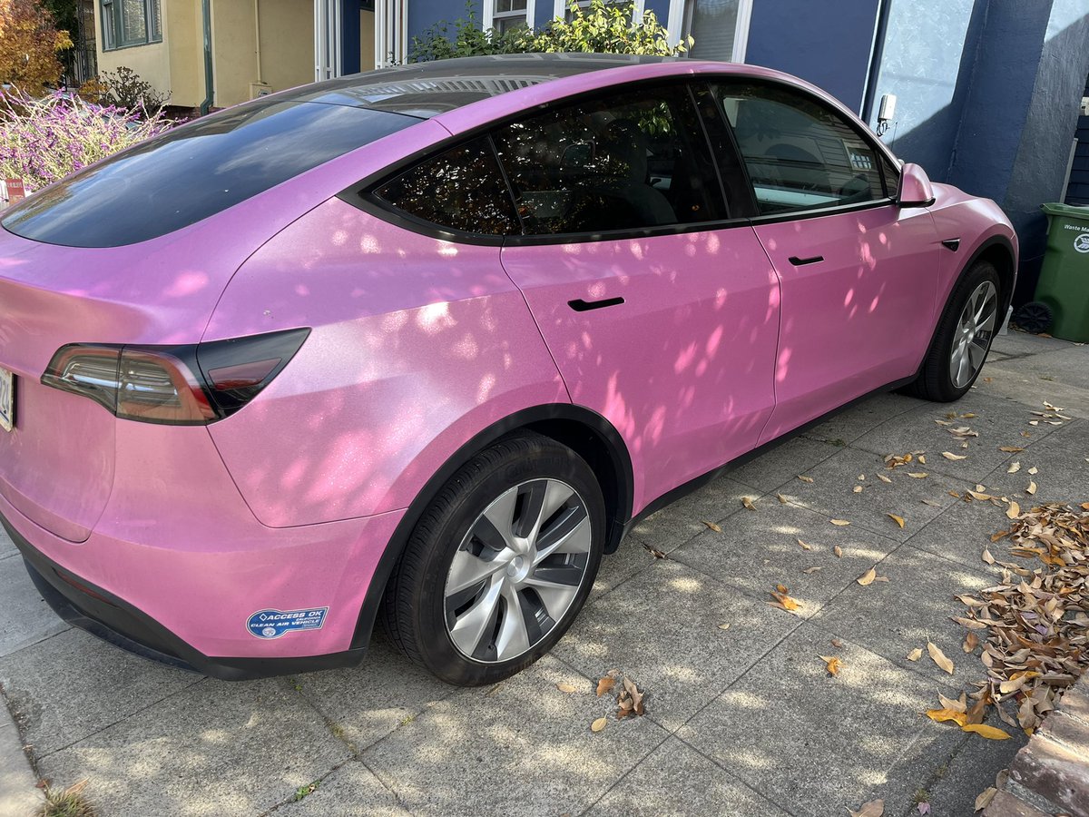 rbratt's tweet photo. I don’t want to say @elonmusk is getting cocky, but I’m pretty sure this color is  not going to catch on. . . . https://t.co/RdQEmyRoCz