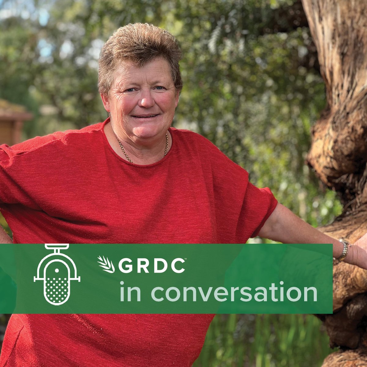 🎙️NEW PODCAST 'GRDC in Conversation' features the journeys, passions & everyday lives of the people shaping our grains industry, talking to @Olilelievre Today we meet Kate Burke @Think_Agri - agronomist, author, cereal chemist & more! Listen now ▶️ bit.ly/3sAK1vV