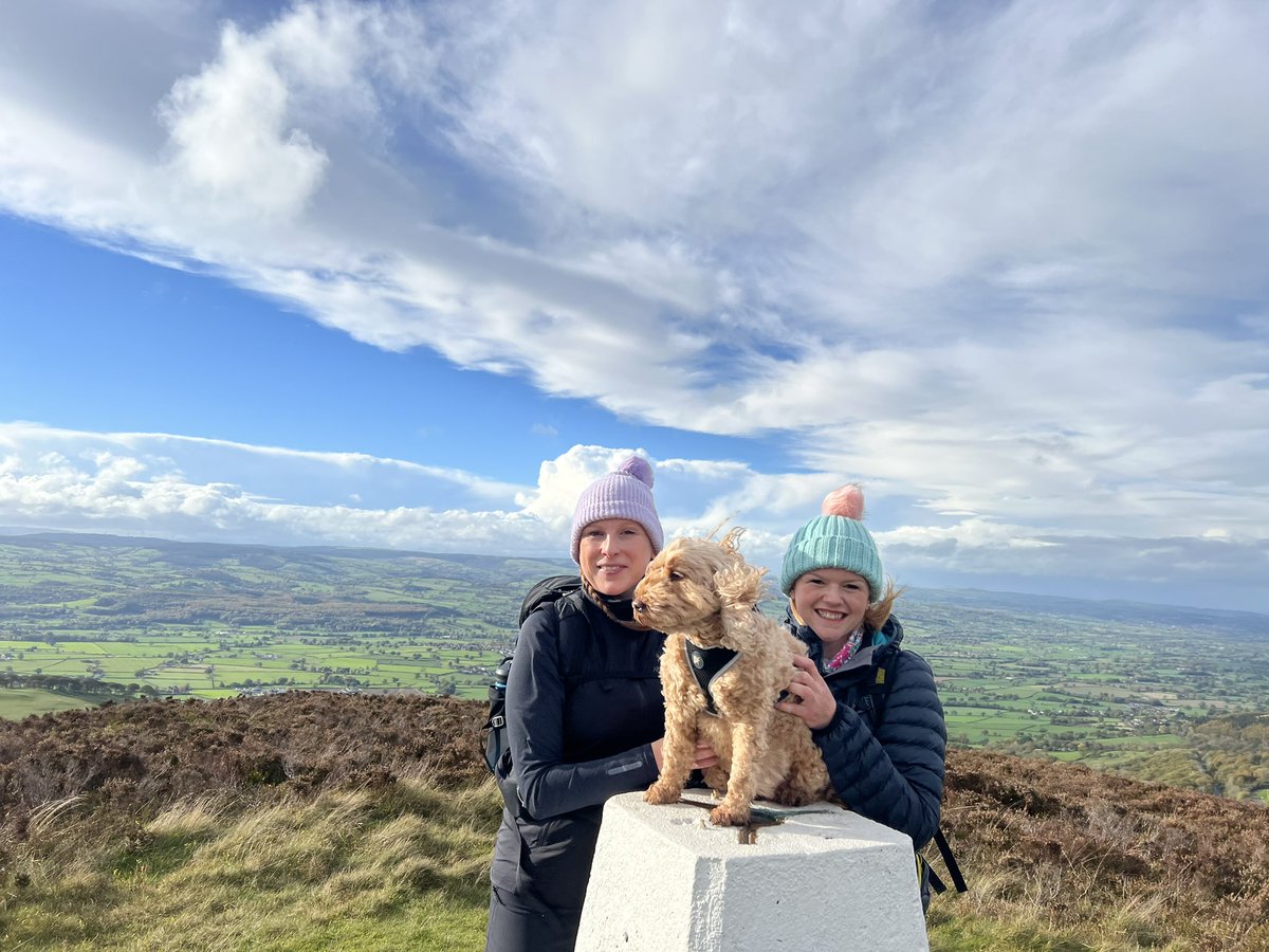 Moel Findeg, Moel Gyw and Moel y Plas day out with the girls and my cockapoo Honey 🐾 around 7.5 mile in the bag 🤩