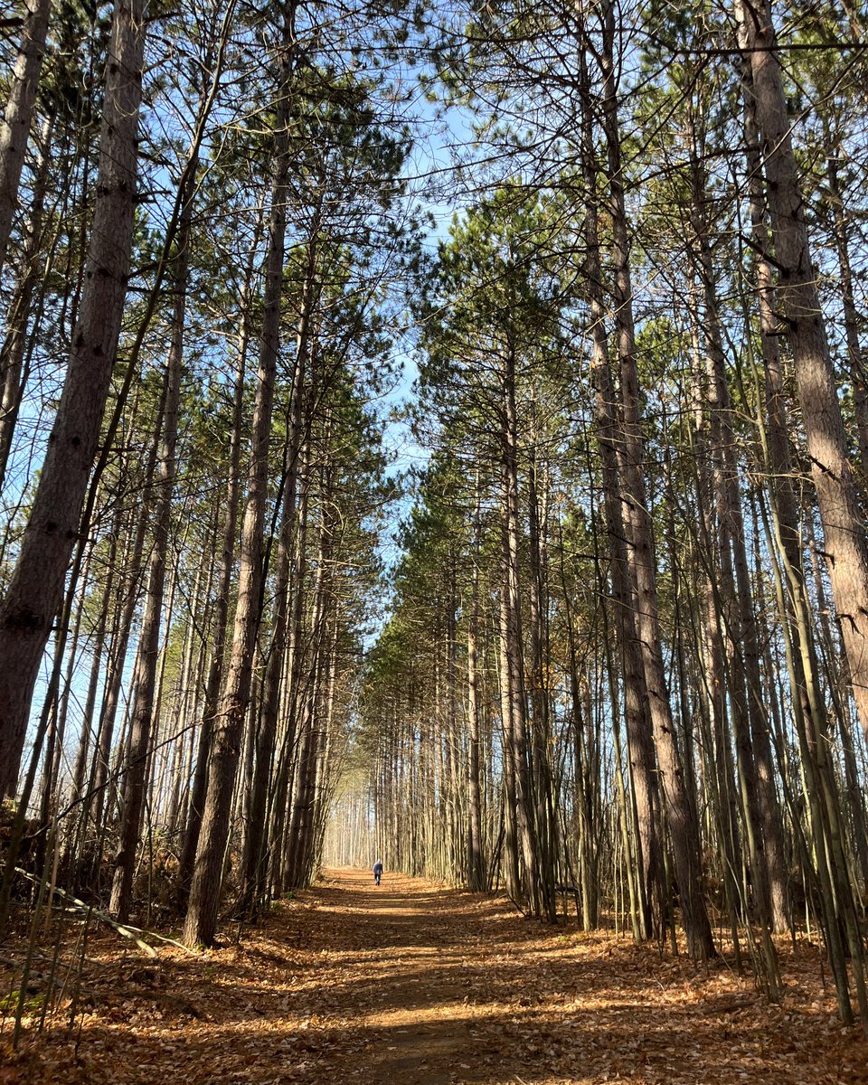 Another amazing fall weekend in the books! This place still breaks my heart due to all the destruction from the Derecho. While not the same as before the storm, there’s still beauty to be found out here.#GetOutside #Nature #Wellness #TallPines #MyOttawa https://t.co/TcNacNBvjz