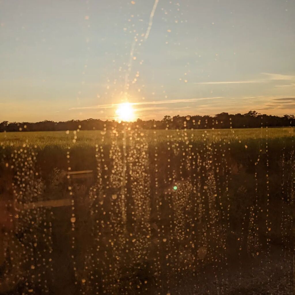 AideeLadnier's tweet photo. One more stop before New Orleans
#amtrakadventure https://t.co/XoAywG6h1y https://t.co/DyJmoh0MAr