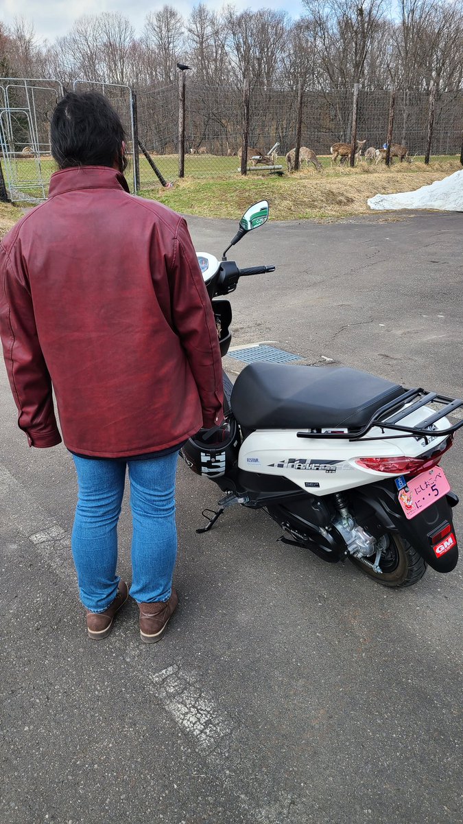 サブレ tweet media