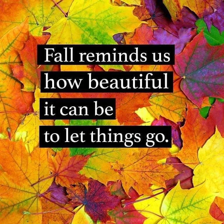 "The truth is, unless you let go, unless you forgive yourself, unless you forgive the situation, unless you realize that the situation is over, you cannot move forward." - <a href="/stevemaraboli/">Steve Maraboli</a>