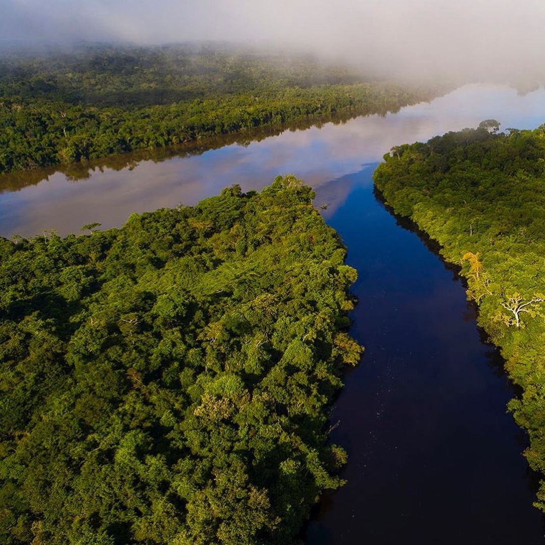 The outcome of the Brazilian election presents an opportunity to change the course of history, not just for Brazil & the Amazon, but for the world.
 (📷: João Paulo Krajewski)