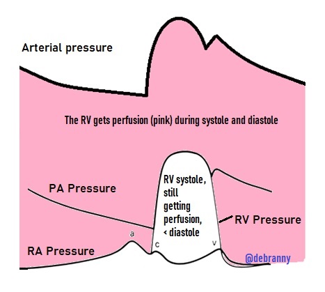 Daniel Asher, MD tweet media