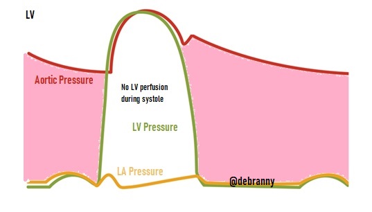Daniel Asher, MD tweet media
