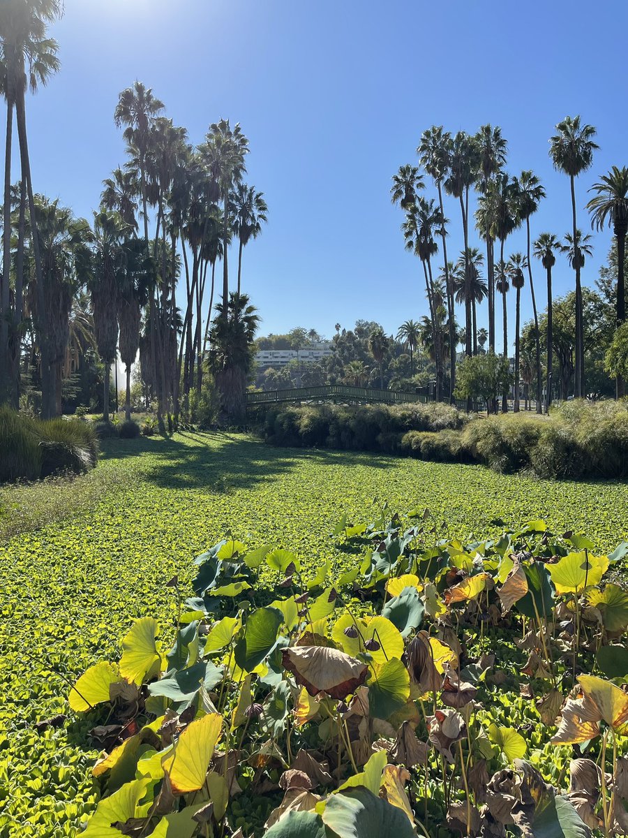 Ok, L.A. made some points 🥰