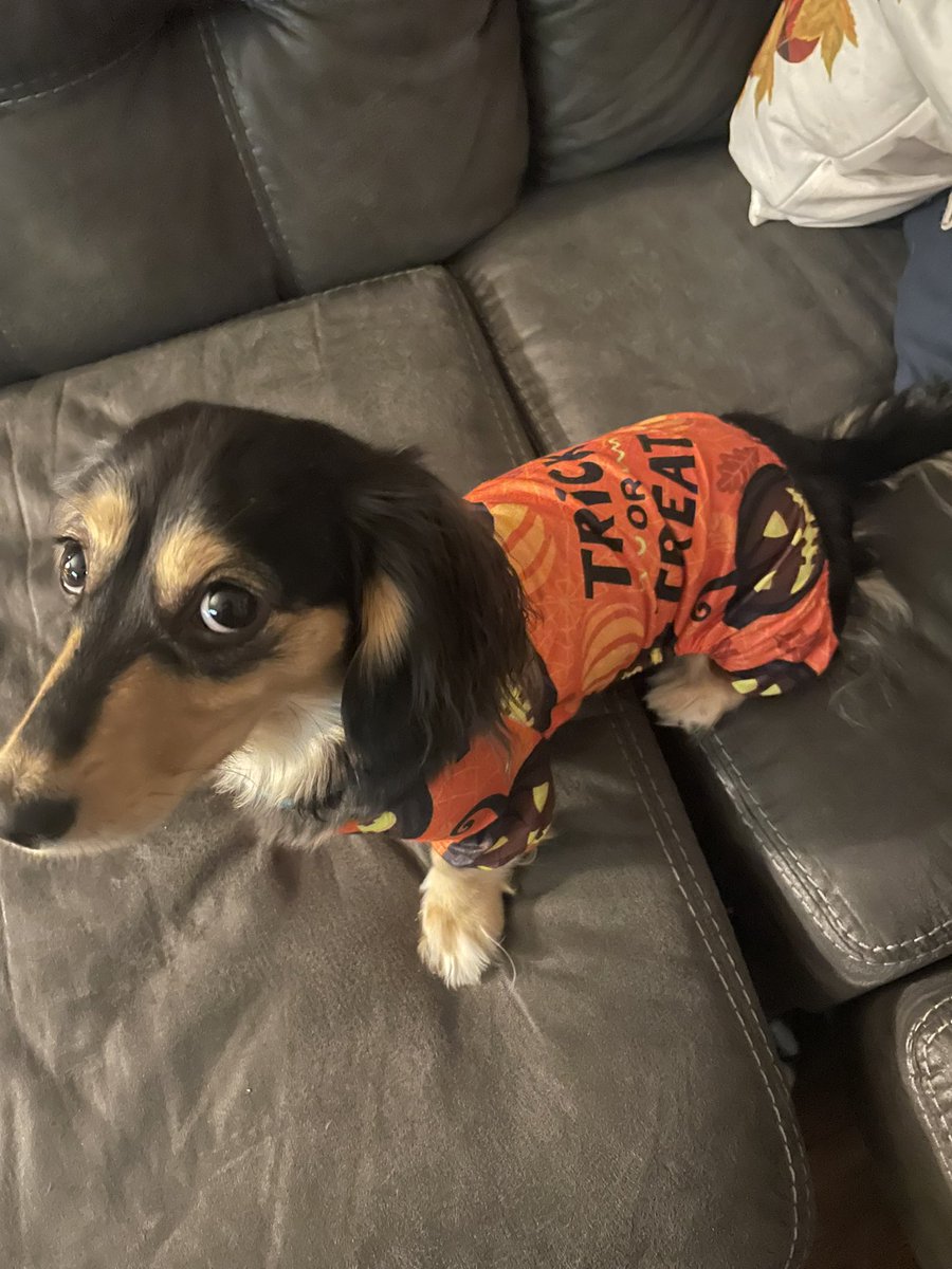 grabvoid's tweet image. Wynnie says Happy Halloween y’all