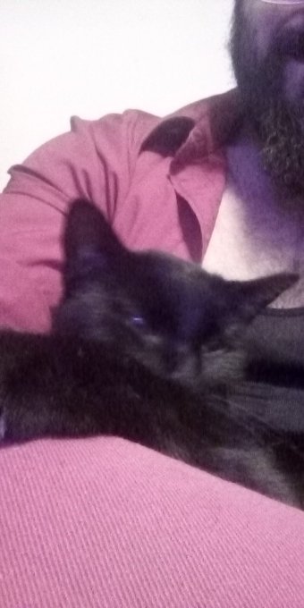 @TheEternalFlam7 Here's a black kitty picture to cheer you up. 😁❣️ https://t.co/dxDGRQiAkW<a class="tags" target="_blank" title="On Twitter" href="/?out=eyJ0eXAiOiJKV1QiLCJhbGciOiJIUzUxMiJ9.eyJpYXQiOjE3MjY1NzI2ODcsImlzcyI6InR3cG9ybnN0YXJzLmNvbSIsIm5iZiI6MTcyNjU3MjY4NywiZXhwIjoxNzU4MTA4Njg3LCJyZWRpcmVjdF91cmwiOiJodHRwczovL3R3aXR0ZXIuY29tL1RoZUV0ZXJuYWxGbGFtNyJ9.npN8eMQvK9qf-sPepbRQbaF4dhsVARVp1Xblt3av8tzcDzPk6ofbNziMUmPr52uRTqsh9RgpBDJPOlrbwv0axQ">@TheEternalFlam7</a><a href="/tag/newprofilepic"class="tags"><span>#newprofilepic</span></a>