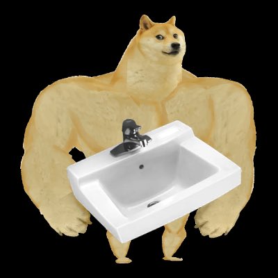Sir Doge of the Coin ⚔️ tweet media