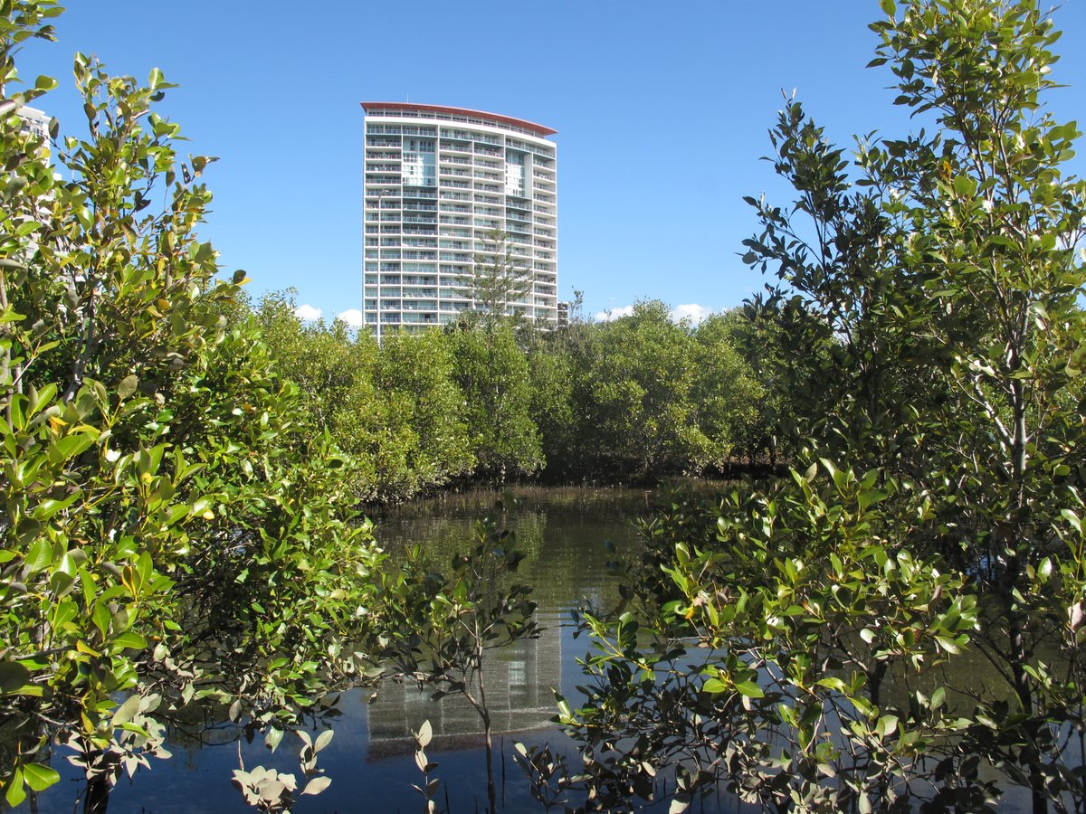 Our paper in <a href="/NatureComms/">Nature Communications</a> reveals that global #mangrove losses and gains over 20 years can be attributed to socioeconomic and biophysical factors. Access to markets is a strong driver of loss, but economic growth can be compatible with mangrove gains: 10.1038/s41467-022-33962-x