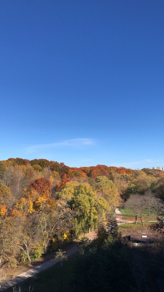 DrKateTO's tweet photo. @asifintoronto The most gorgeous running weather!! #ViewFromMyRun https://t.co/x8afDqGboC