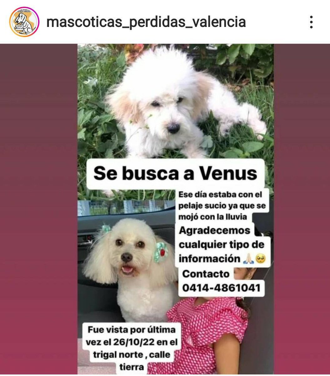 Su familia la busca, Valencia Carabobo