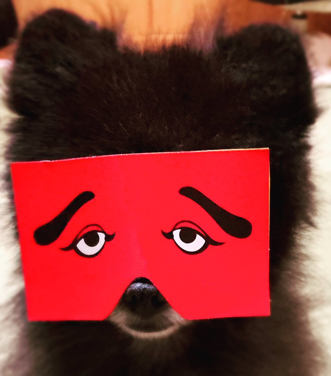 Rinta.pom tweet media