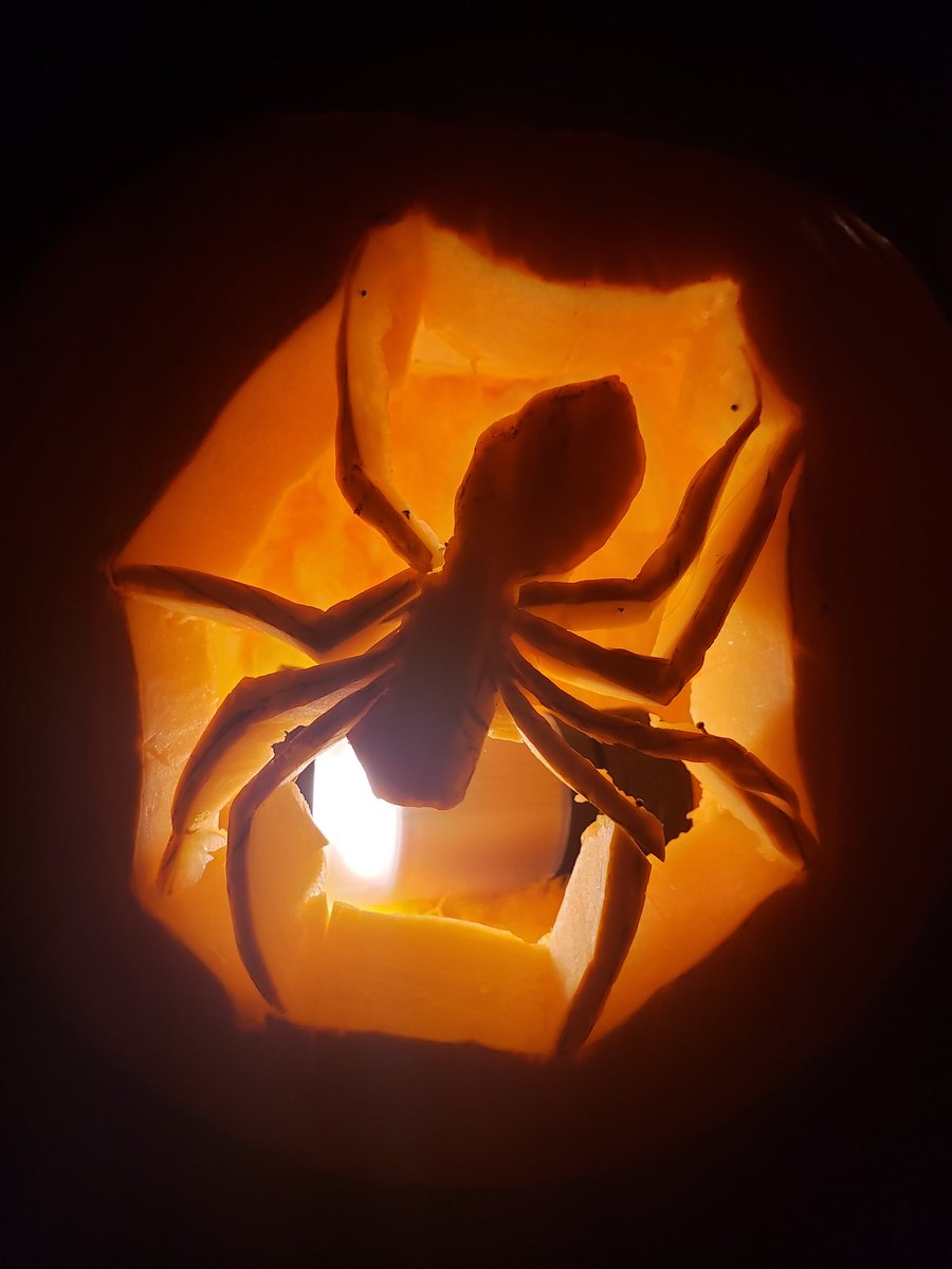 Travis Crook, MD tweet media