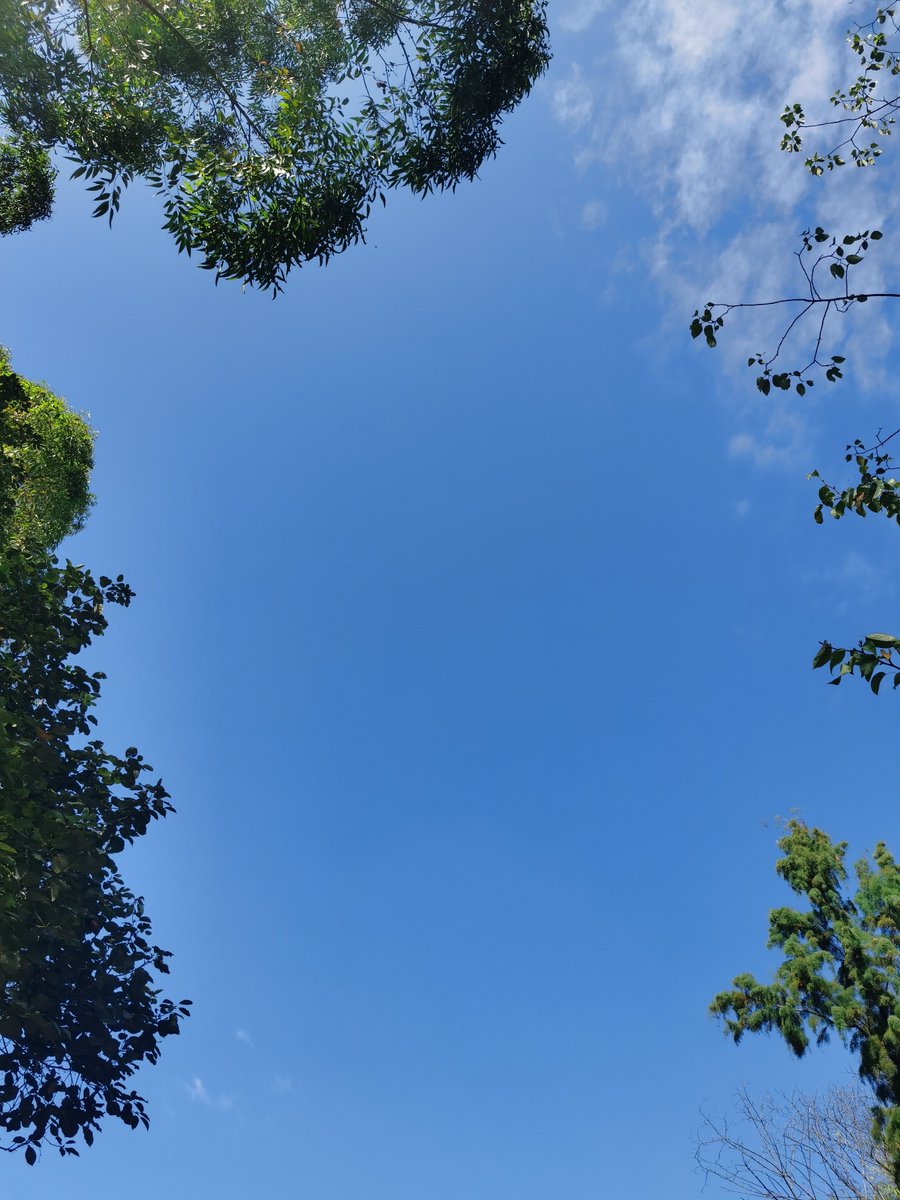 想在fq圈找个情人，可一起玩也可单约那种，lg的要求尽量满足！一周聚一两次，长期固定…坐标028
