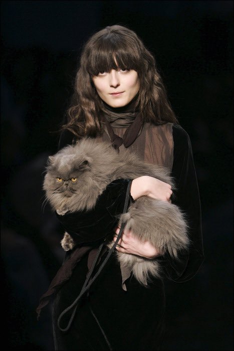 muglare's tweet photo. cats at the jean paul gaultier fall 2006 show https://t.co/6rq2HxDAgt