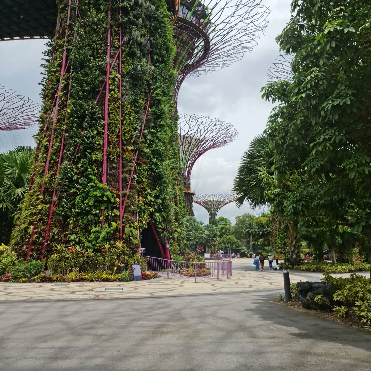 Soon off to the SAC annual meeting in Singapore