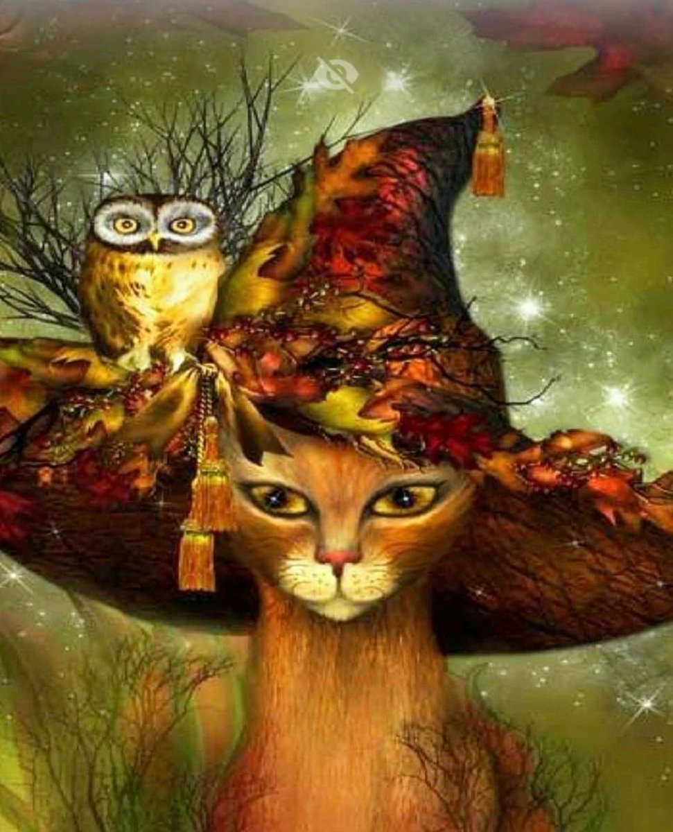 Happy Halloween! 🍂🎃🍂

#October31 #Halloween