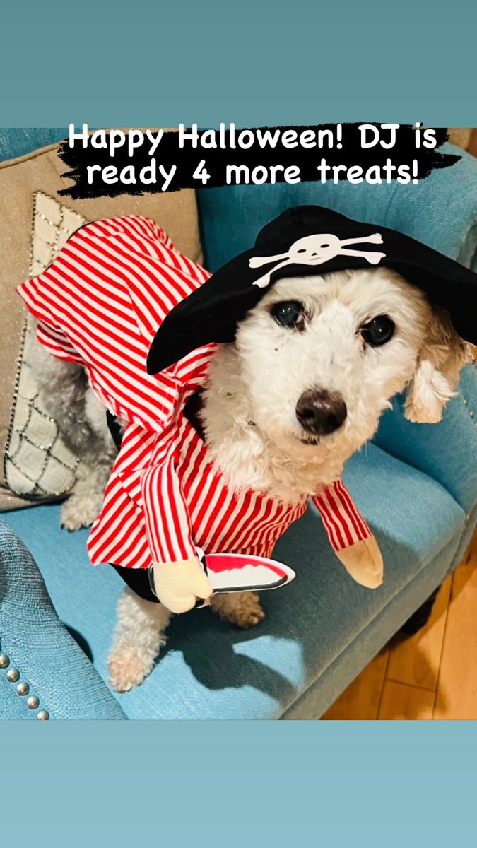 #HappyHalloween from my DJ - wants to be on #PiratesOfTheCarribean - does he have what it takes?!?