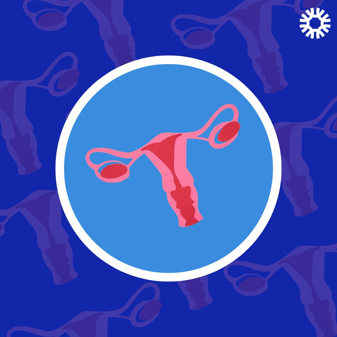 October was World Menopause Month. When a woman or person with a uterus has their last period between the ages of 40 and 45, it is called early menopause.  
Learn more from <a href="/JeanHailes/">Jean Hailes</a> here: jeanhailes.org.au/health-a-z/men…
#VARTA #Menopause #EarlyMenopause