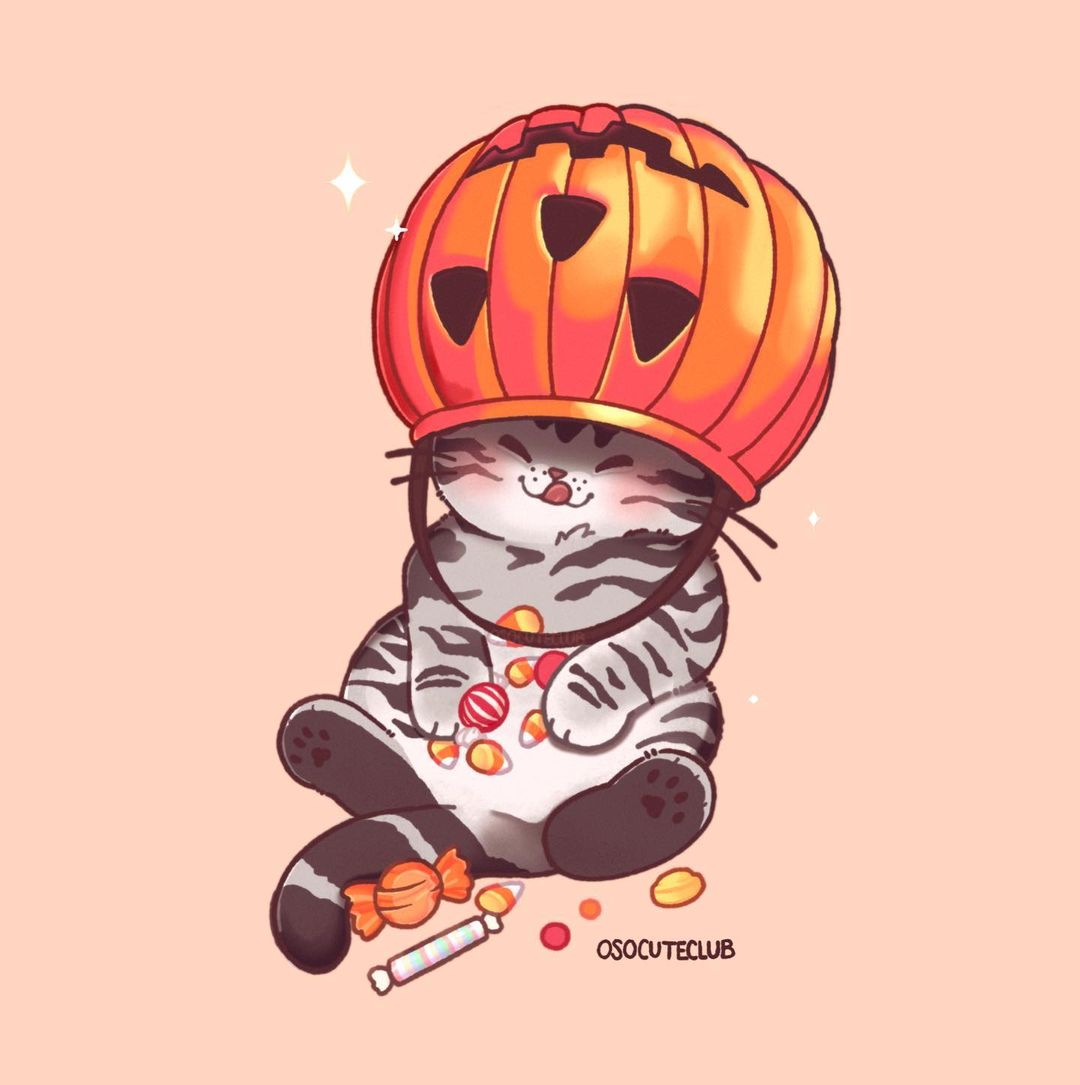 no humans candy pumpkin food jack-o'-lantern halloween cat  illustration images