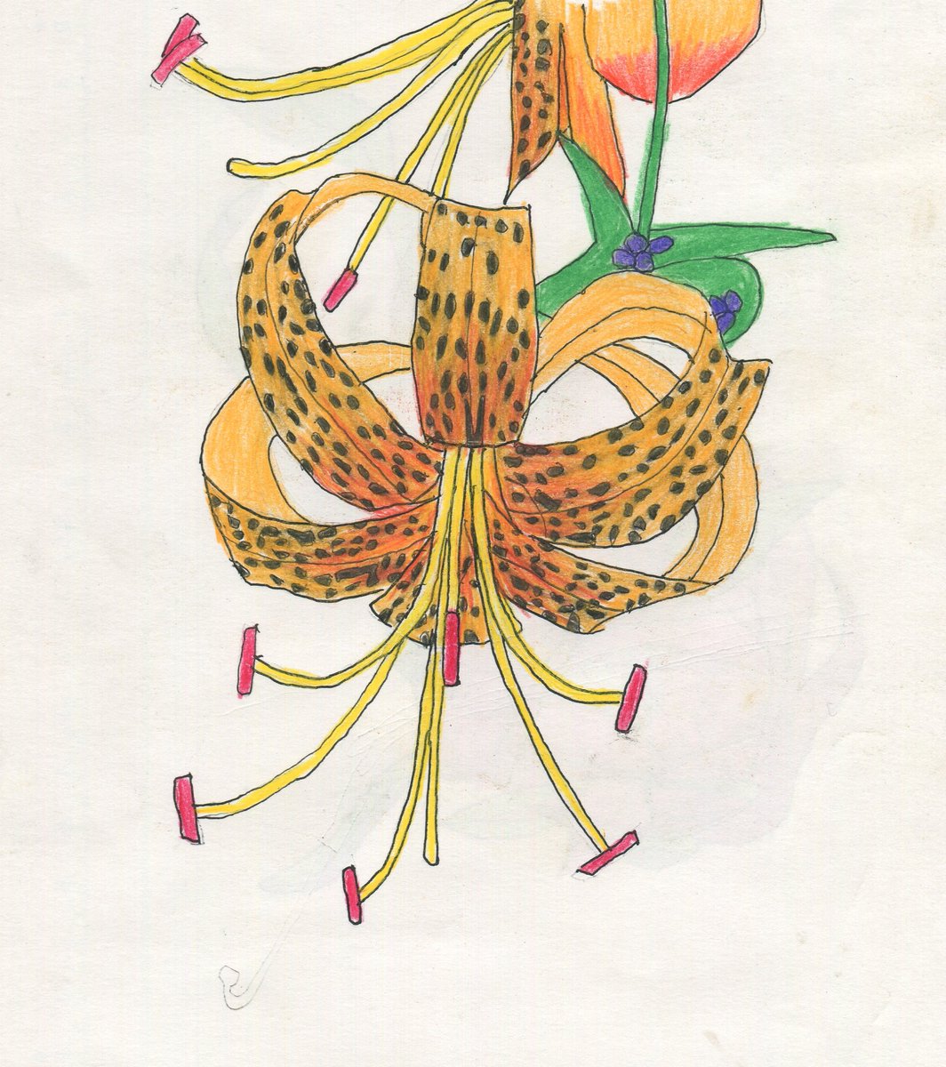 オニユリ のイラスト マンガ コスプレ モデル作品 57 件 Twoucan