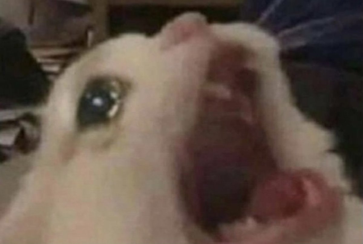 La película de terror: *Empieza*

Absolutamente nadie

Yo: ya me dió miedo, quítalaaaaaa!!