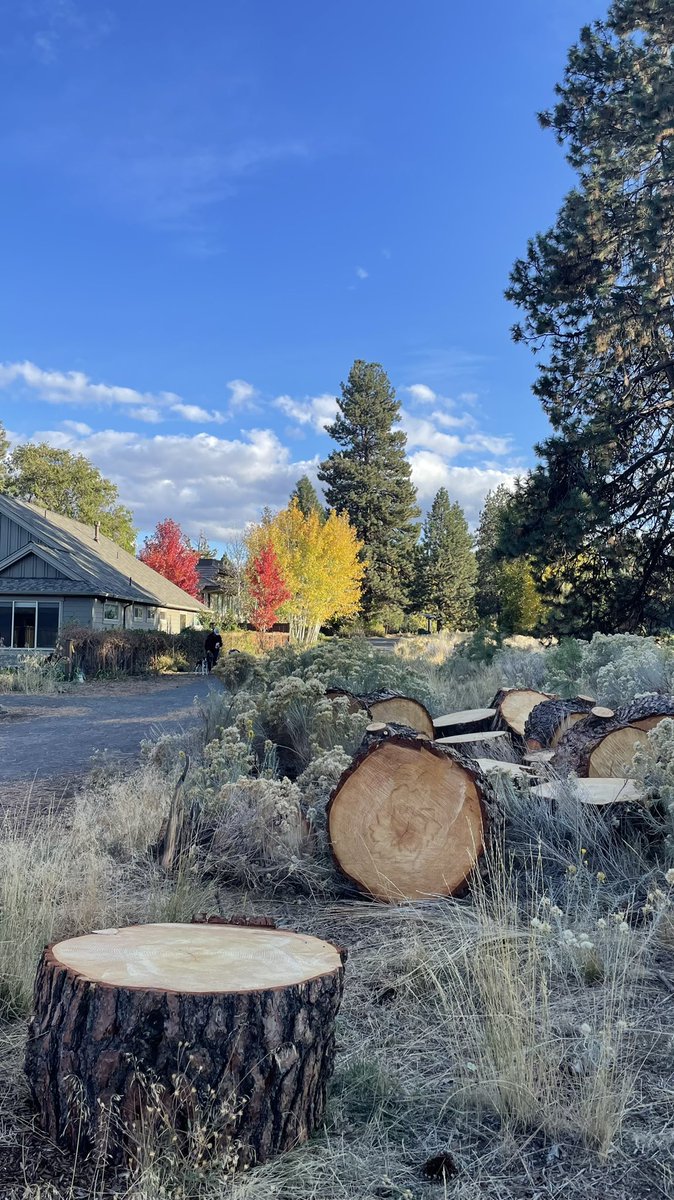 Mina Huh tweet media