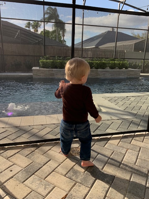PoolFenceOrl's tweet photo. A Pool Fence keeps small children from accidental falls in the swimming pool 407-365-2400 Life Saver Pool Fence of Central Florida (Orlando area) https://t.co/U4kLraS33B https://t.co/xHTWE0HjLQ