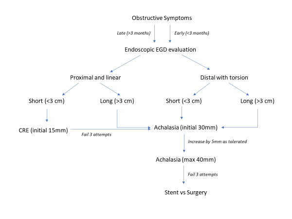 PopovVioleta's tweet photo. @JJFordeMD This is the algorithm that we published in 2019  @GIE_Journal  with @MetabolicEndo and #StevenChang, now a 3rd yr GI fellow @EmoryMedicine 

https://t.co/ofRfb2yDmv
https://t.co/Z46WRQJRwb https://t.co/NtE1ESiYgQ