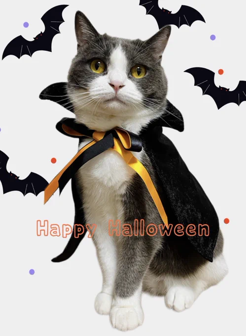 ハロウィンまとめ#Halloween #ハロウィン2022 