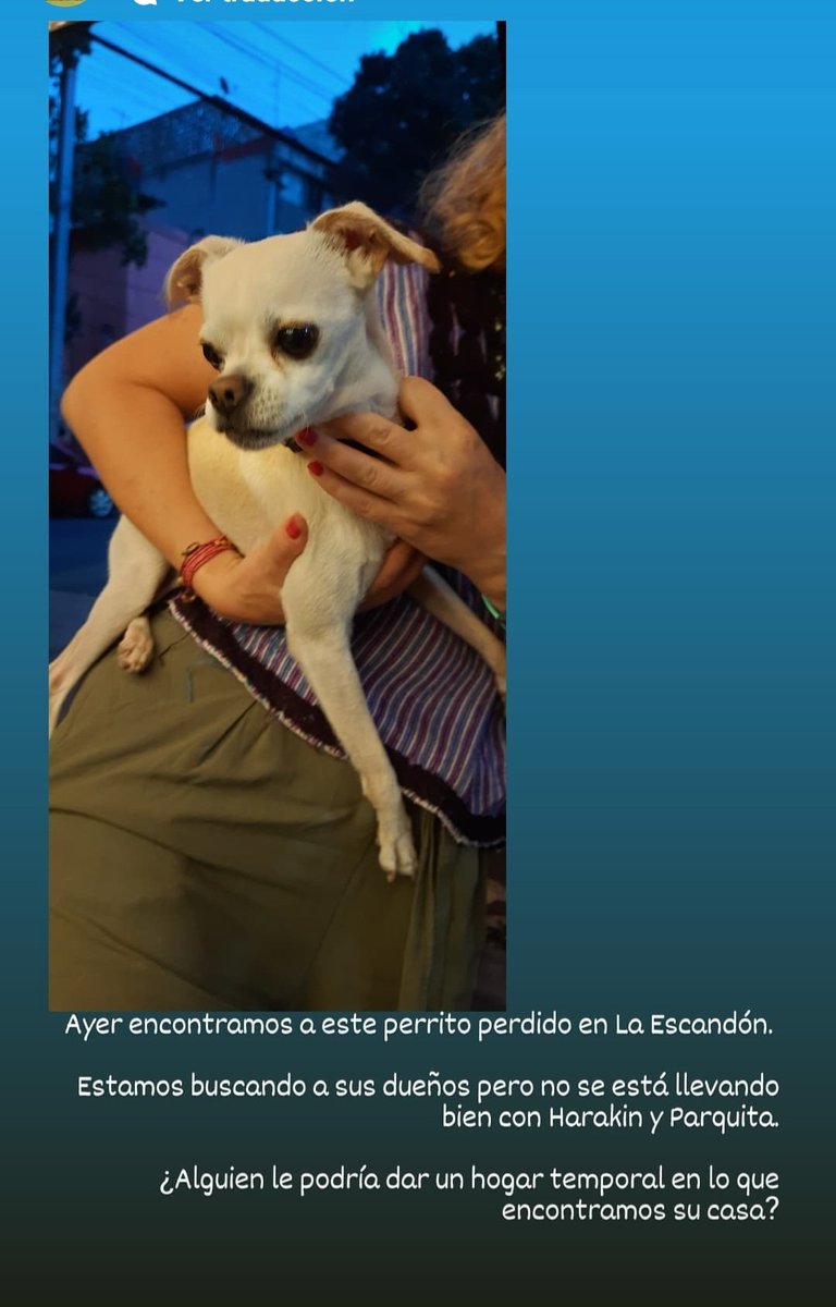 @PpEncontradosMx me ayudarían con difusión en redes de la Escandón y cercanas porfaaa