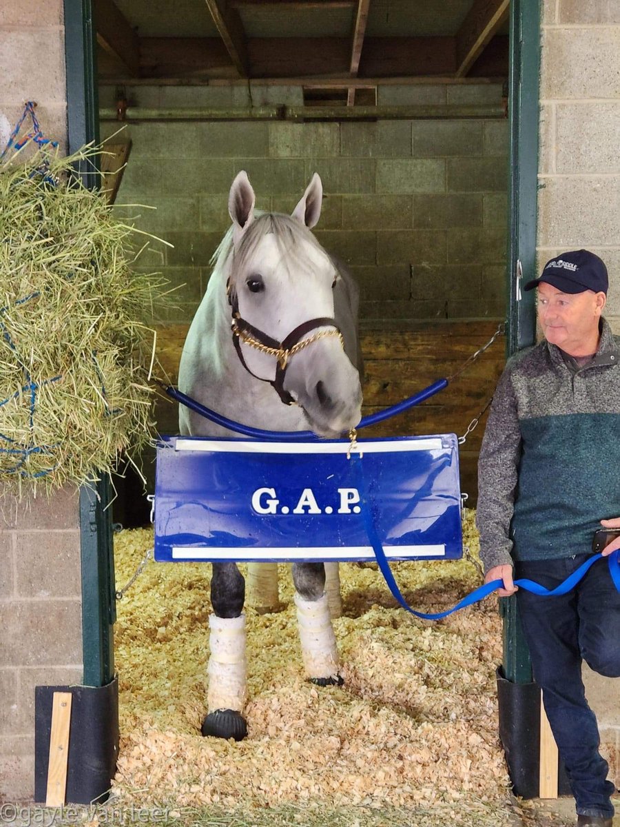 American Theorem arrived <a href="/keeneland/">Keeneland</a> in good order. Let @breederscup week begin. #GAPRacing