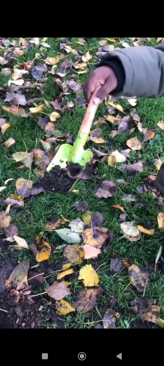 Geethu Sudheesh tweet media