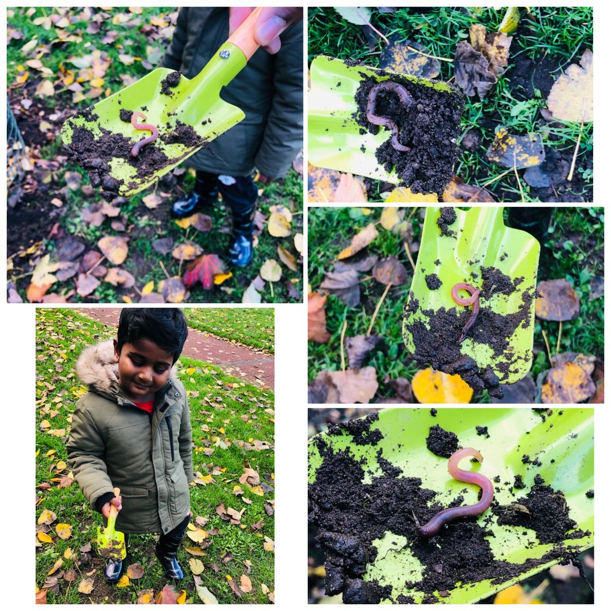 Geethu Sudheesh tweet media